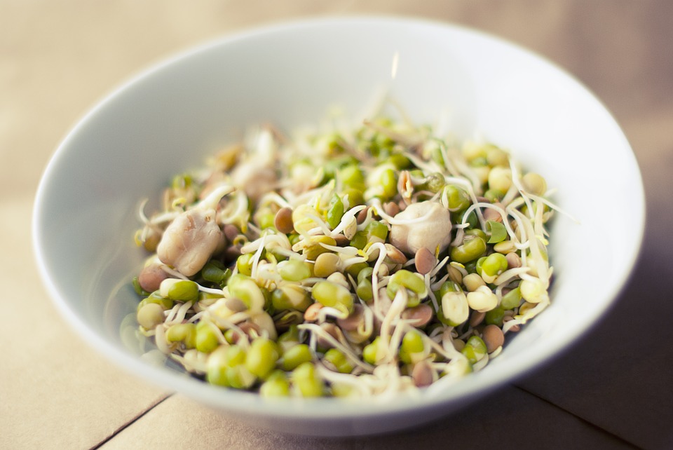 Soya Beans and Breast Cancer