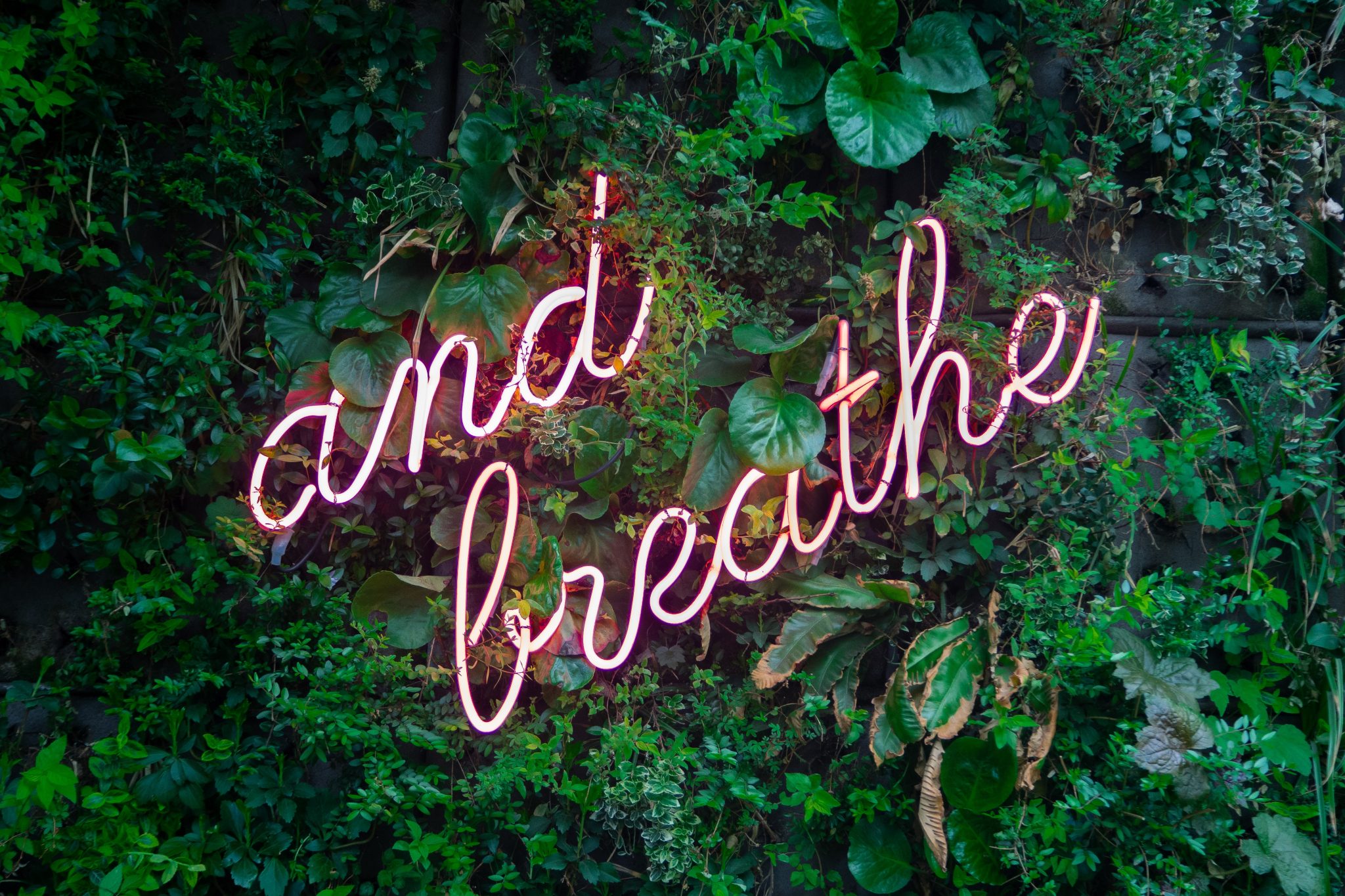 And Breathe Sign | Nude Nutrition